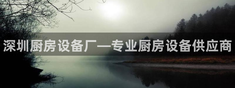 尊龙凯时人生就是博官网登录：深圳厨房设备厂—专业厨房设备供应