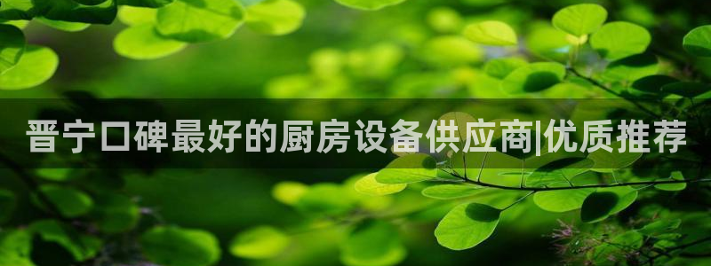 尊龙凯时网站网址：晋宁口碑最好的厨房设备供应商|优质推荐