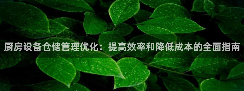 尊龙凯时充值不到账：厨房设备仓储管理优化：提高效率和降低成本