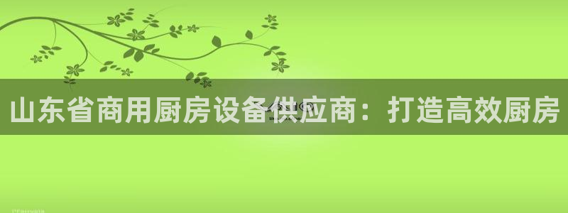 尊龙凯时赢不了：山东省商用厨房设备供应商：打造高效厨房