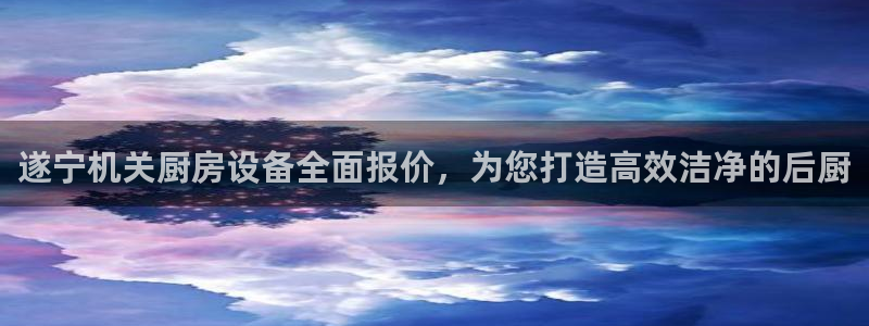 尊龙凯时官网版登录：遂宁机关厨房设备全面报价，为您打造高效洁