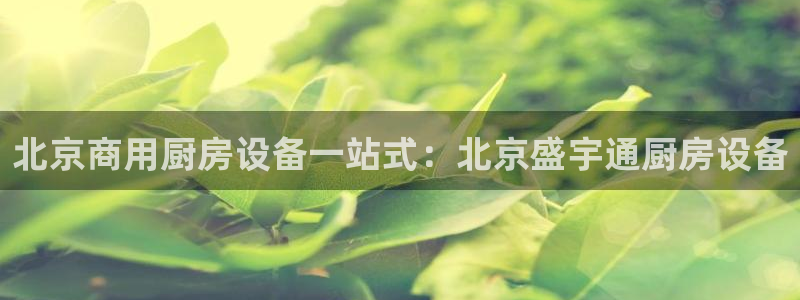 尊龙游戏中心：北京商用厨房设备一站式：北京盛宇通厨房设备