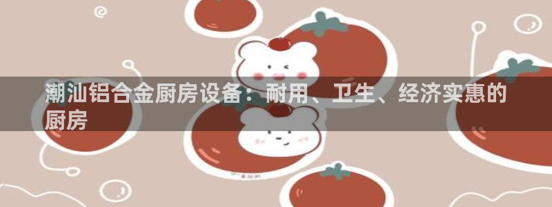 d88尊龙官网手机app：潮汕铝合金厨房设备：耐用、卫生、经