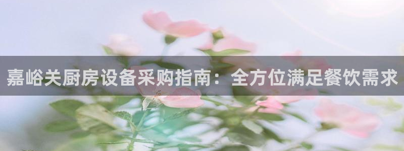 尊龙凯时 - 人生就是搏手机登录：嘉峪关厨房设备采购指南：全