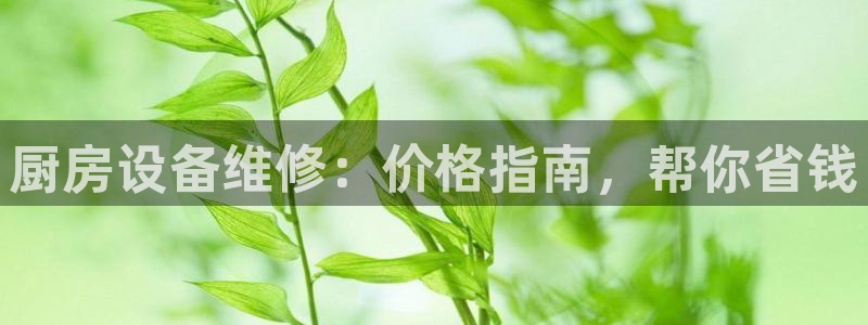 尊龙凯时只输不赢：厨房设备维修：价格指南，帮你省钱