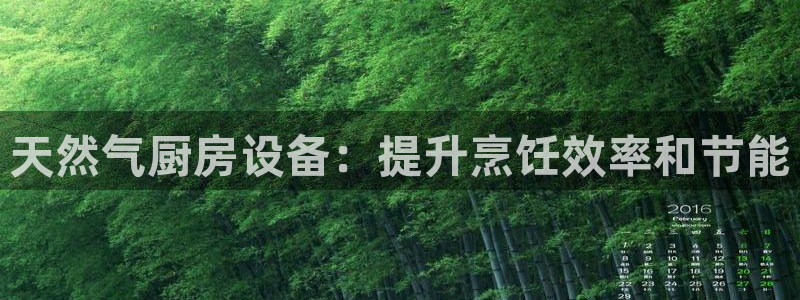 尊龙集团有限公司招聘：天然气厨房设备：提升烹饪效率和节能