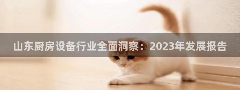 尊龙凯时台子：山东厨房设备行业全面洞察：2023年发展报告