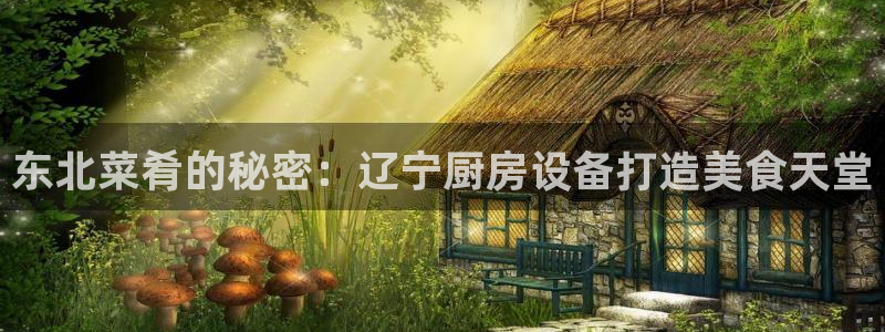 尊龙凯时网站登录：东北菜