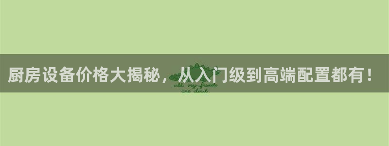 尊龙ag旗舰厅下载：厨房设备价格大揭秘，从入门级到高端配置都